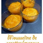 Mousseline de carottes/mangue