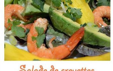 Salade de crevettes, avocat et mangue au gingembre