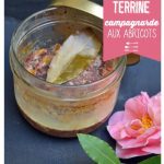 Terrine campagnarde aux abricots