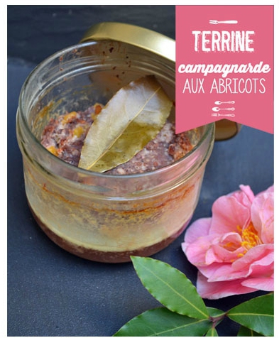 Terrine campagnarde aux abricots