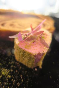 Foie-gras-bus-Toque