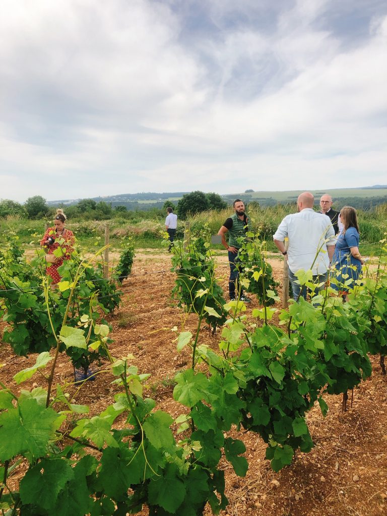 cremant-vignerons